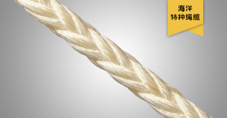 浮標(biāo)繩纜