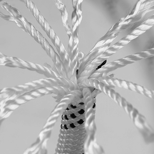 10.5毫米靜力繩的內芯.jpg 10.5毫米靜力繩的內芯.jpg