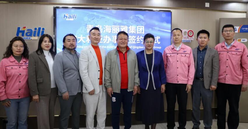 青島海麗雅集團 青島海麗雅集團