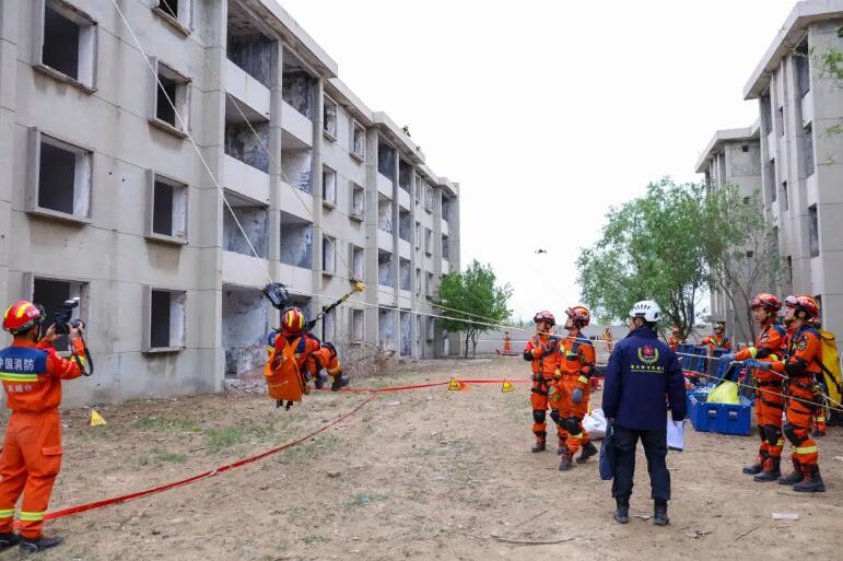 海麗雅集團(tuán) 海麗雅集團(tuán)