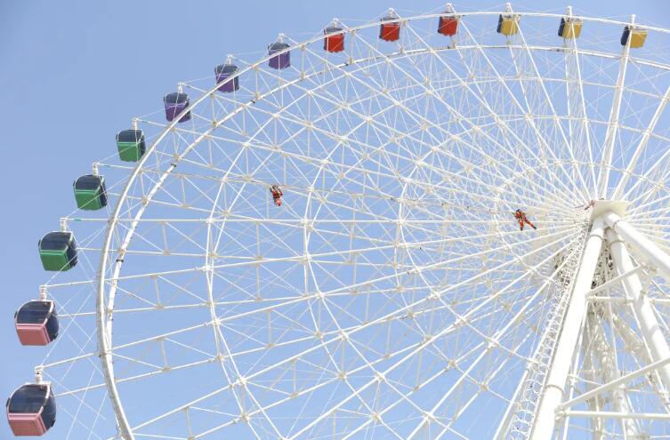 青島海麗雅集團 青島海麗雅集團